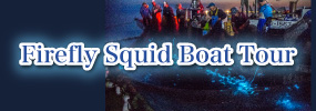 Firefly Squid Boat Tour