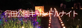 行田公園キャンドルナイト