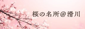桜の名所＠滑川Googlemap