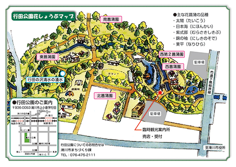 行田公園花しょうぶマップ