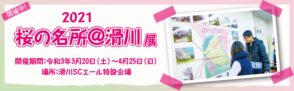 桜の名所@滑川展