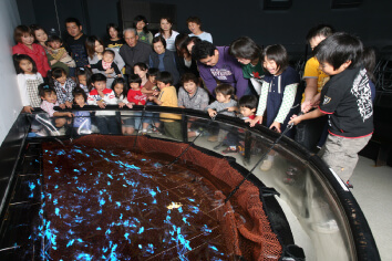 ほたるいか発光ショー