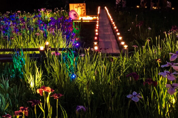 行田公園キャンドルナイト