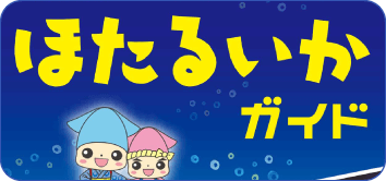 デジタルパンフレット