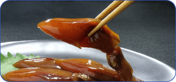 ホタルイカめぐり