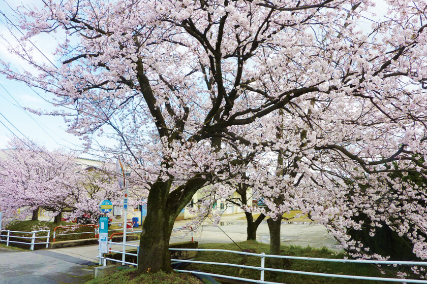 東滑川駅口バス停