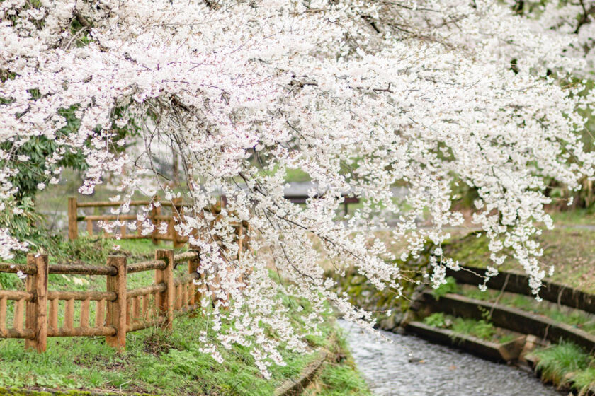大崎野川砂防公園