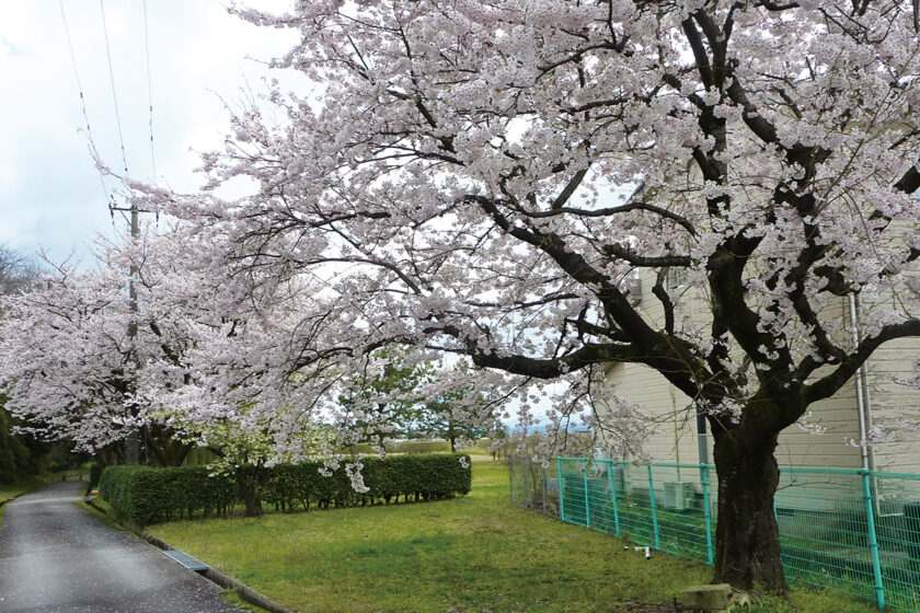 富山県農林水産総合技術センター 水産研究所付近