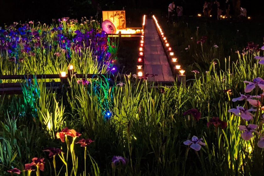 行田公園キャンドルナイト・花しょうぶ祭り（6月中旬頃）