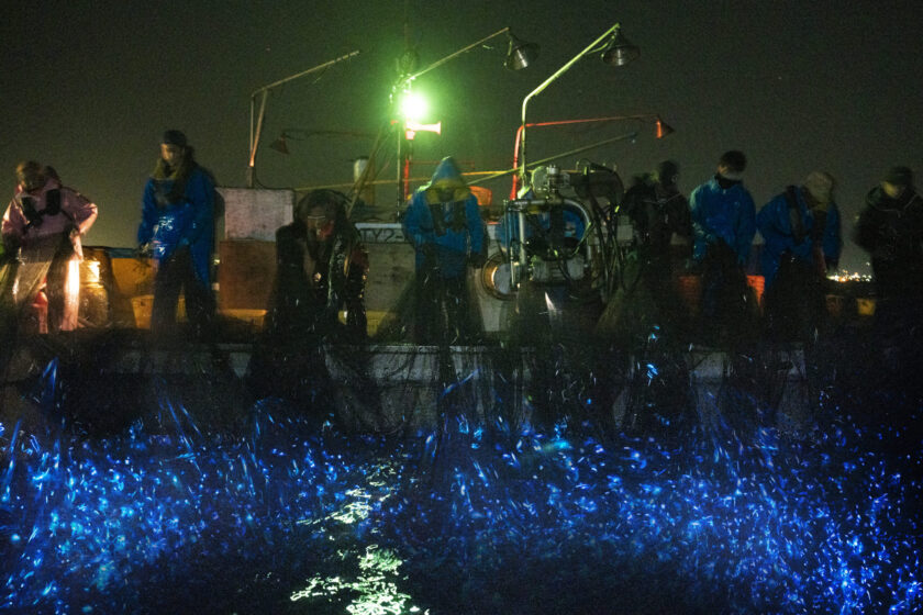 http://ホタルイカ定置網漁