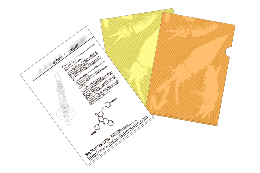 セキュリティフォルダ01