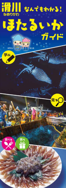 滑川 ホタルイカガイド