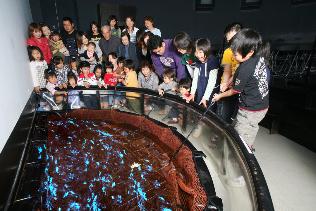 ほたるいかミュージアム02