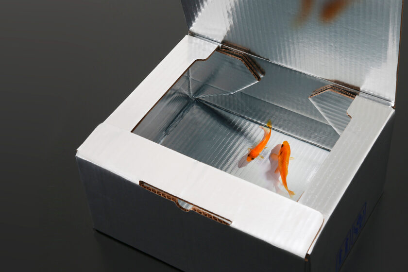 株式会社アイザック パッケージ事業本部